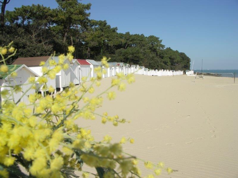 Koat Ar Mor Hotel Noirmoutier-en-l'Ile Eksteriør billede